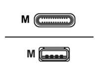 Goobay USB 3.0-Stecker (Typ A) > USB 3.1-Stecker (Typ C)