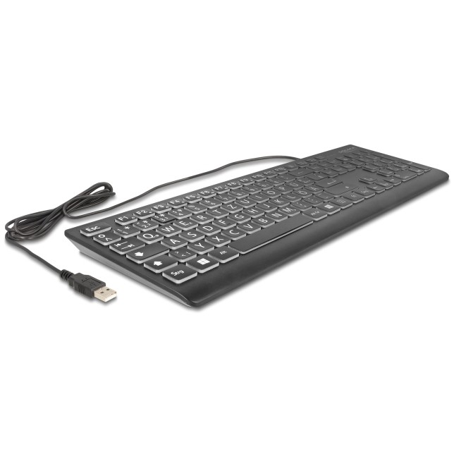 DELOCK USB Tastatur kabelgebunden 1,5 m schwarz mit XXL Bstb
