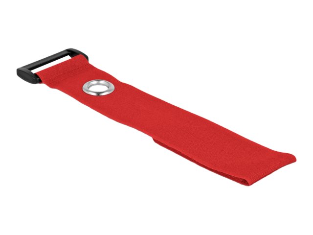 DeLOCK 19550 cable tie