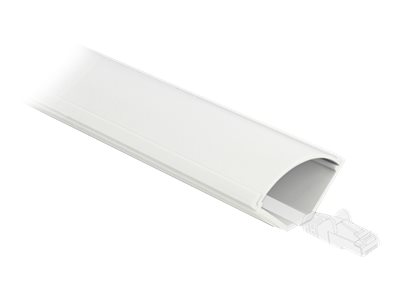 DELOCK Eckkanal selbstklebend 43 x 23 mm - Länge 1 m weiß