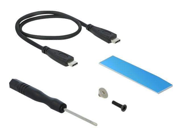 DeLOCK 42000 storage drive enclosure