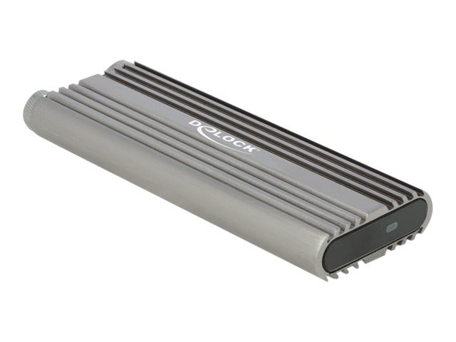 DeLOCK 42001 storage drive enclosure
