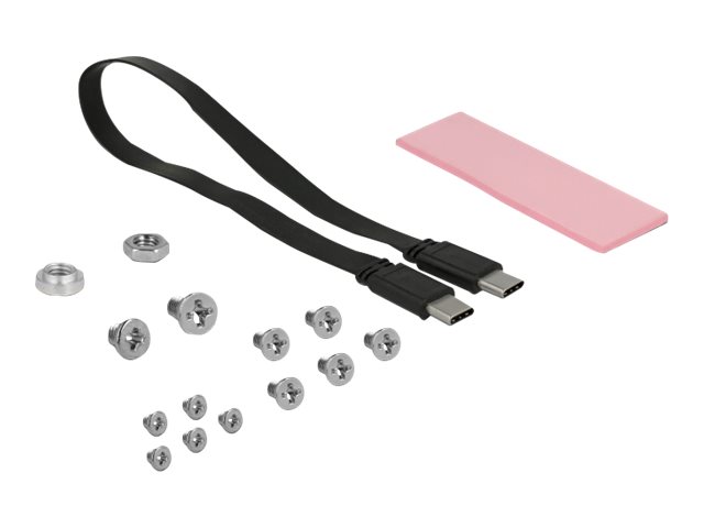 DeLOCK 42609 storage drive enclosure