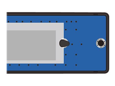 DELOCK Externes Gehäuse für M.2 NVMe PCIe SSD mit USB-Type C
