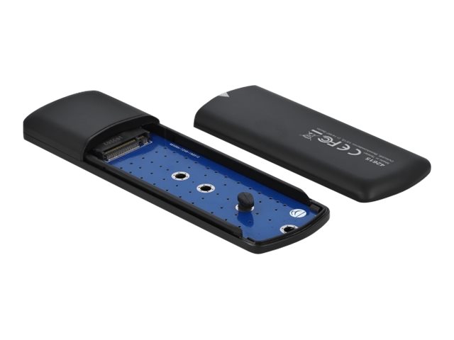DELOCK Externes Gehäuse für M.2 NVMe PCIe SSD mit USB-Type C