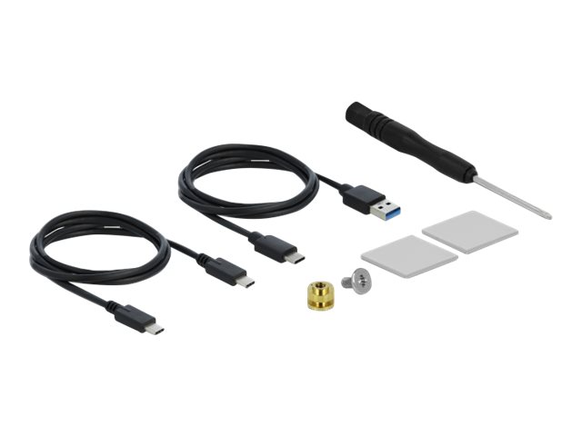 DeLOCK 42620 storage drive enclosure