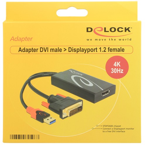 DeLOCK 0.3m, DVI 24+1 + USB-A/Displayport 20p
