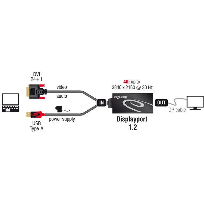 DeLOCK 0.3m, DVI 24+1 + USB-A/Displayport 20p