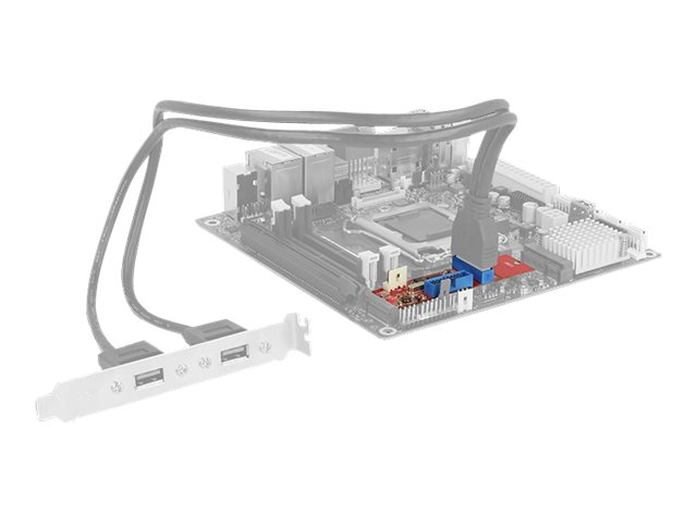 DeLOCK 62843 interface cards/adapter