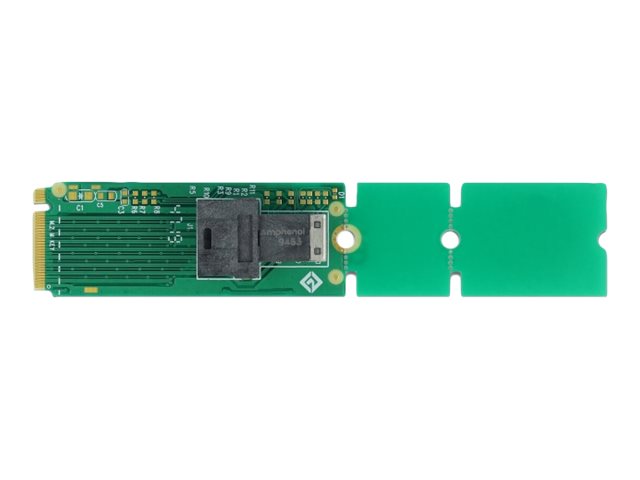 DELOCK Adapter M.2 Key M > SFF-8643 NVMe