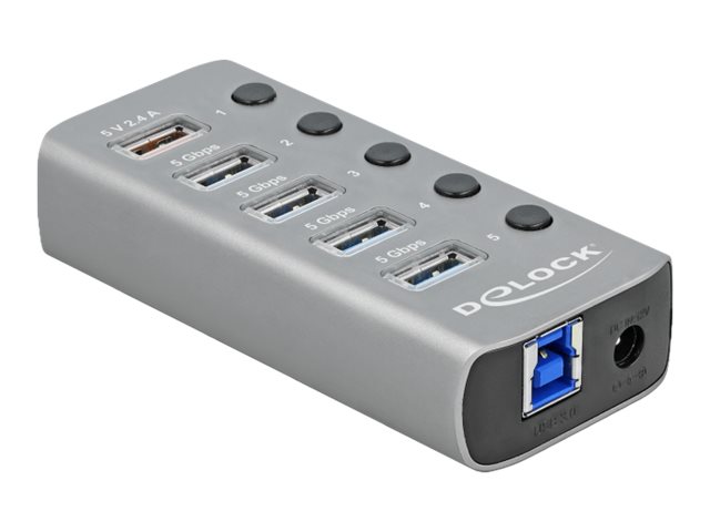 DeLOCK 63262 interface hub