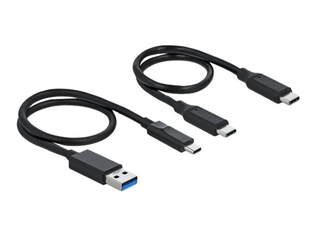 DELOCK Dockingstation für M.2 NVMe PCIe SSD mit USB Type-C