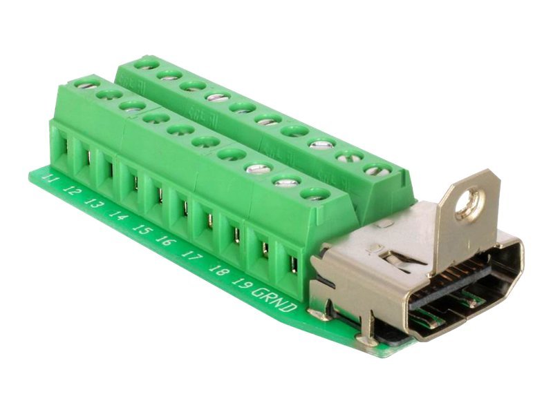 DeLOCK Adapter HDMI female > Terminal Block 20pin