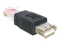 DeLOCK USB - RJ45