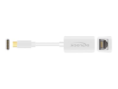 DeLOCK 65906 laptop dock/port replicator