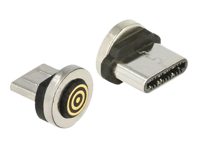 DELOCK Magnetischer Adapter USB Type-C Stecker