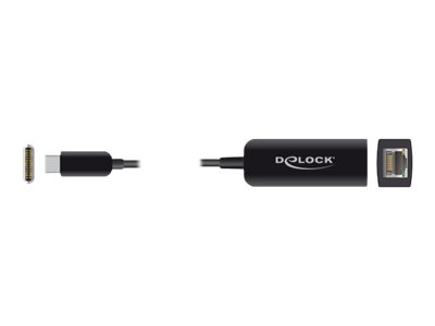 DELOCK Adapter USB Typ-C Stecker zu 2,5 Gigabit LAN kompakt