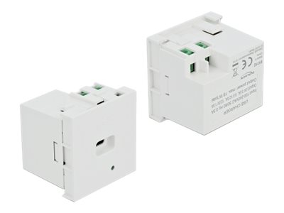 DeLOCK 81312 socket-outlet