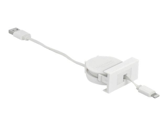 DeLOCK 81331 lightning cable