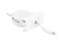 DeLOCK 81331 lightning cable