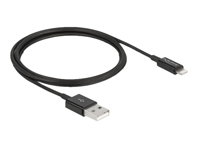 DeLOCK 83002 lightning cable