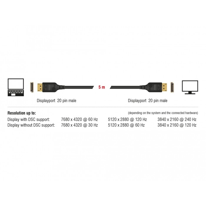 DeLOCK 85658 DisplayPort cable