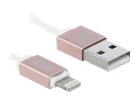 DeLOCK 85817 lightning cable