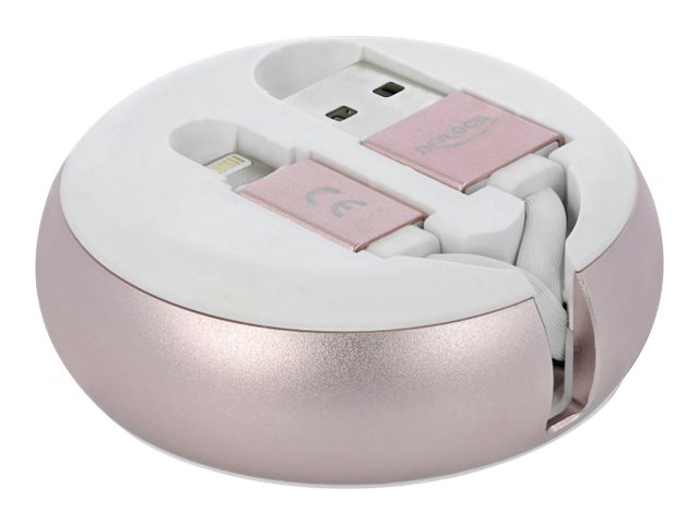 DeLOCK 85817 lightning cable