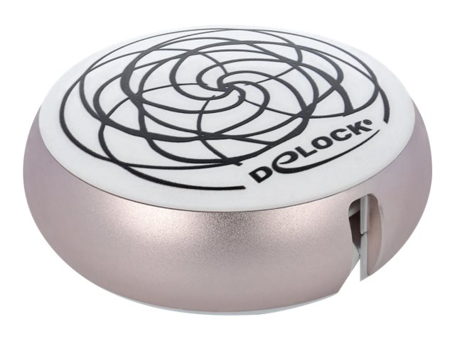 DeLOCK 85817 lightning cable