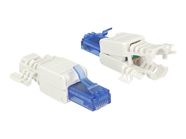 DELOCK RJ45 Stecker Cat.6A UTP werkzeugfrei 2 Stück