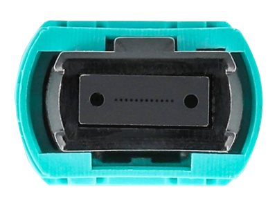 DeLOCK 86956 InfiniBand/fibre optic cable
