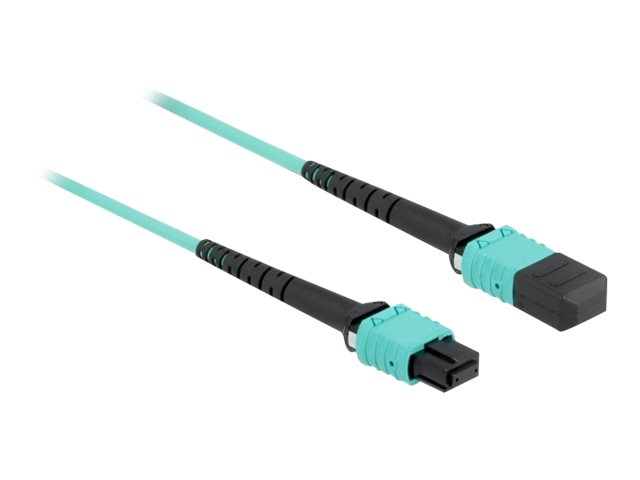 DeLOCK 86956 InfiniBand/fibre optic cable