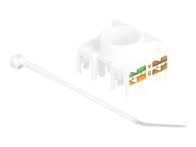 DeLOCK 87034 keystone module
