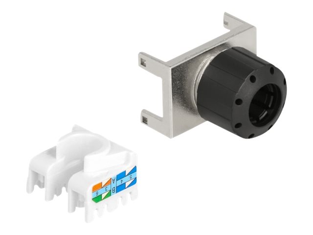 DeLOCK 87036 keystone module