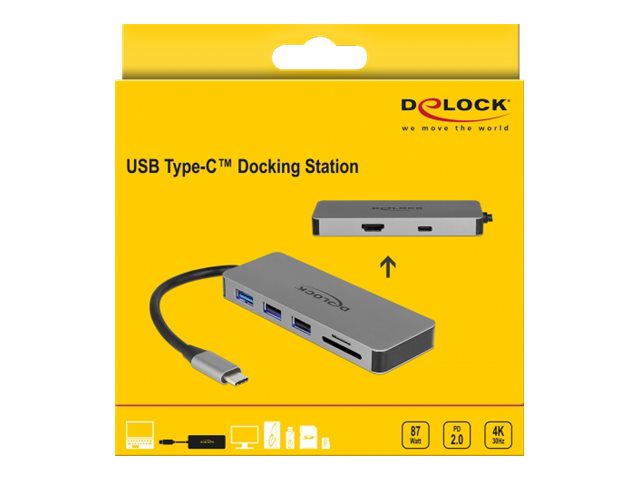 DeLOCK 87743 laptop dock/port replicator