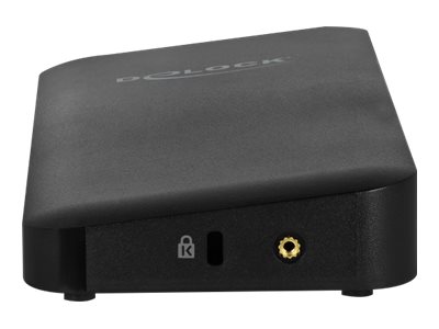 DeLOCK 87746 laptop dock/port replicator