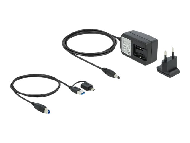 DeLOCK 87771 laptop dock/port replicator