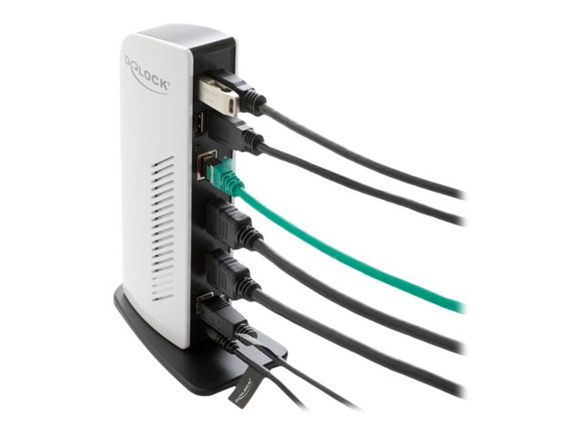 DeLOCK 87771 laptop dock/port replicator