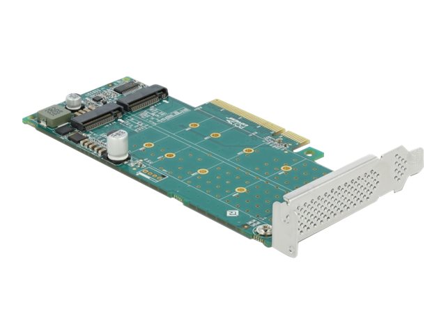 DeLOCK 89045 interface cards/adapter