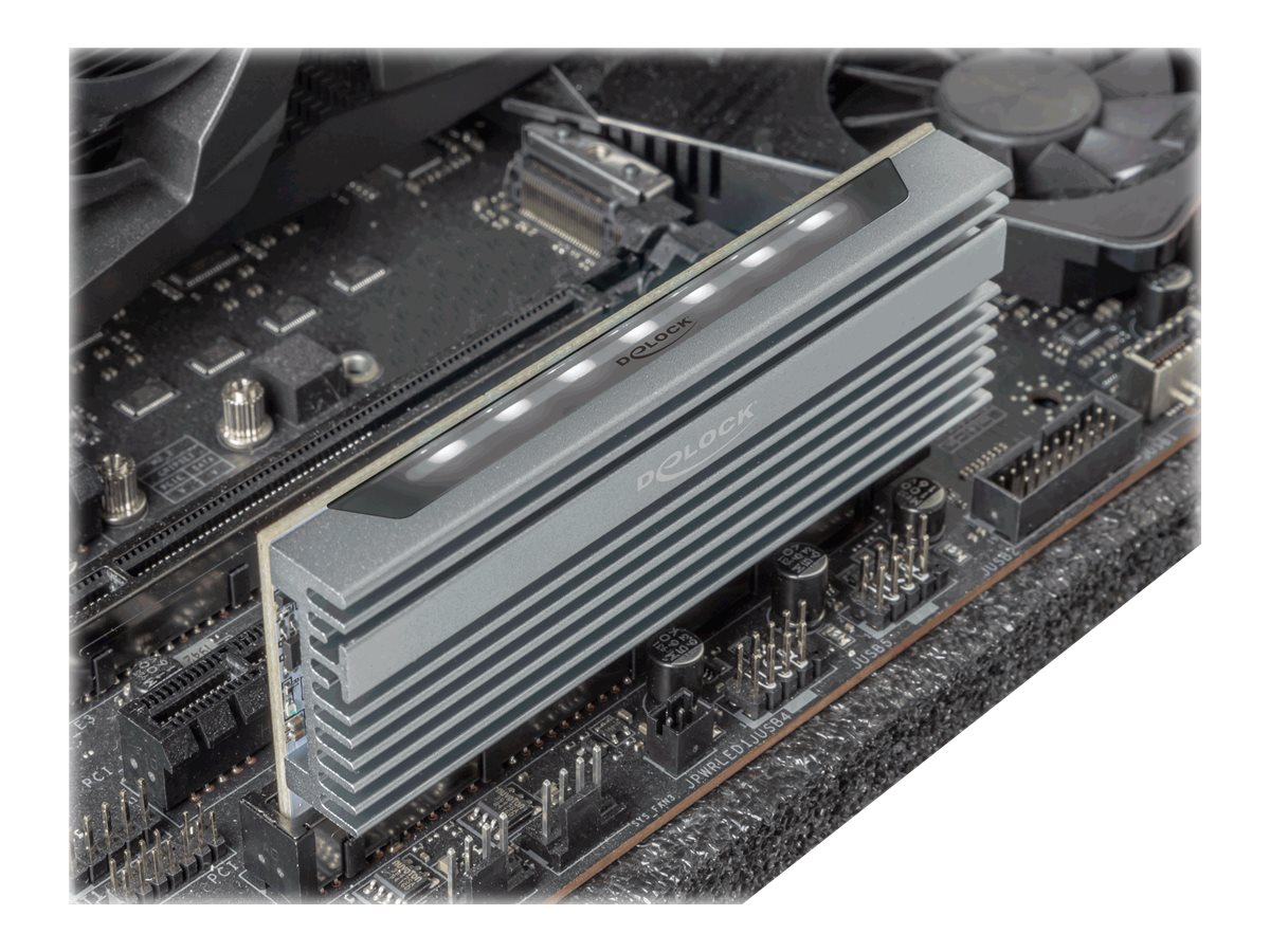 DeLOCK 90566 interface cards/adapter