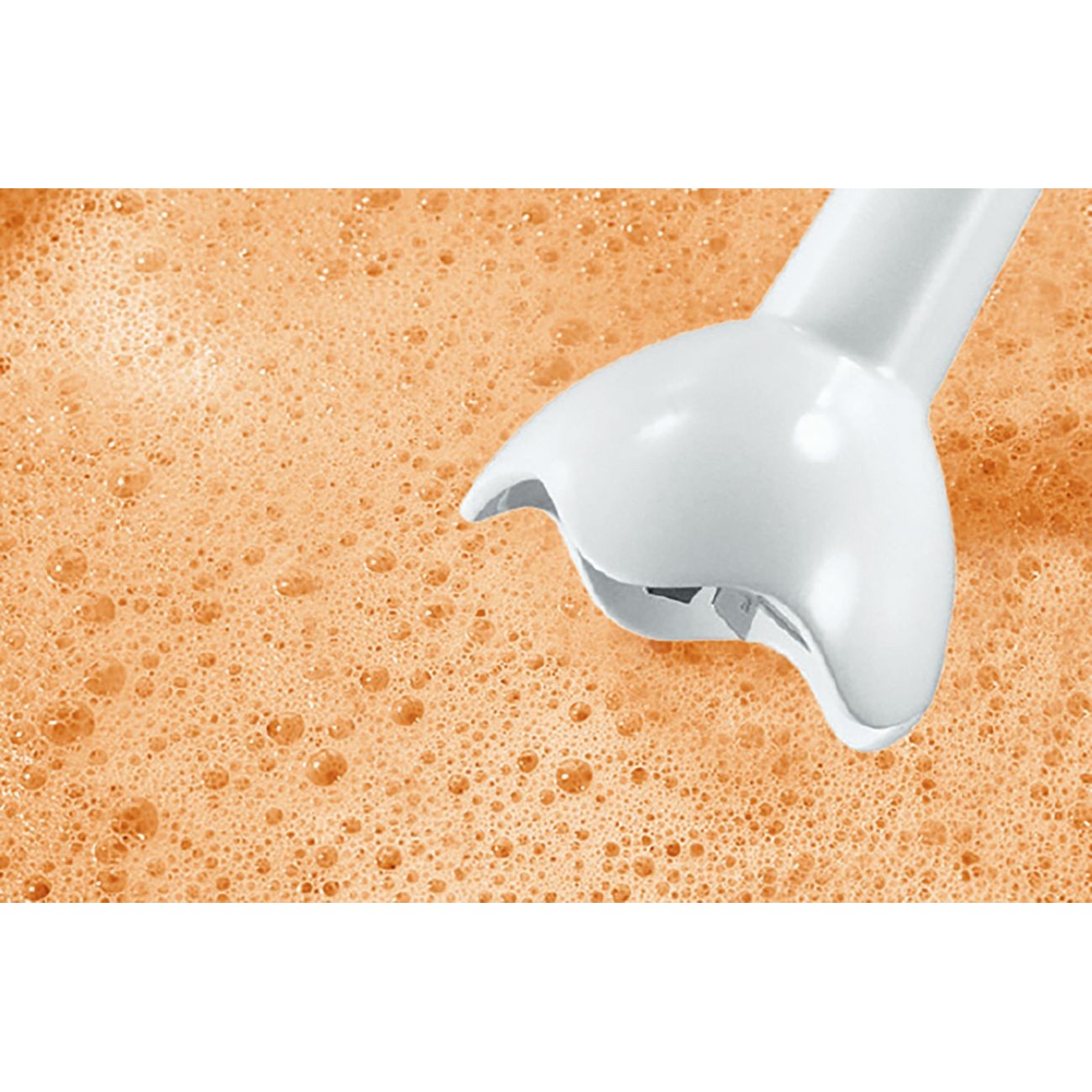Bosch MSM6B100 blender