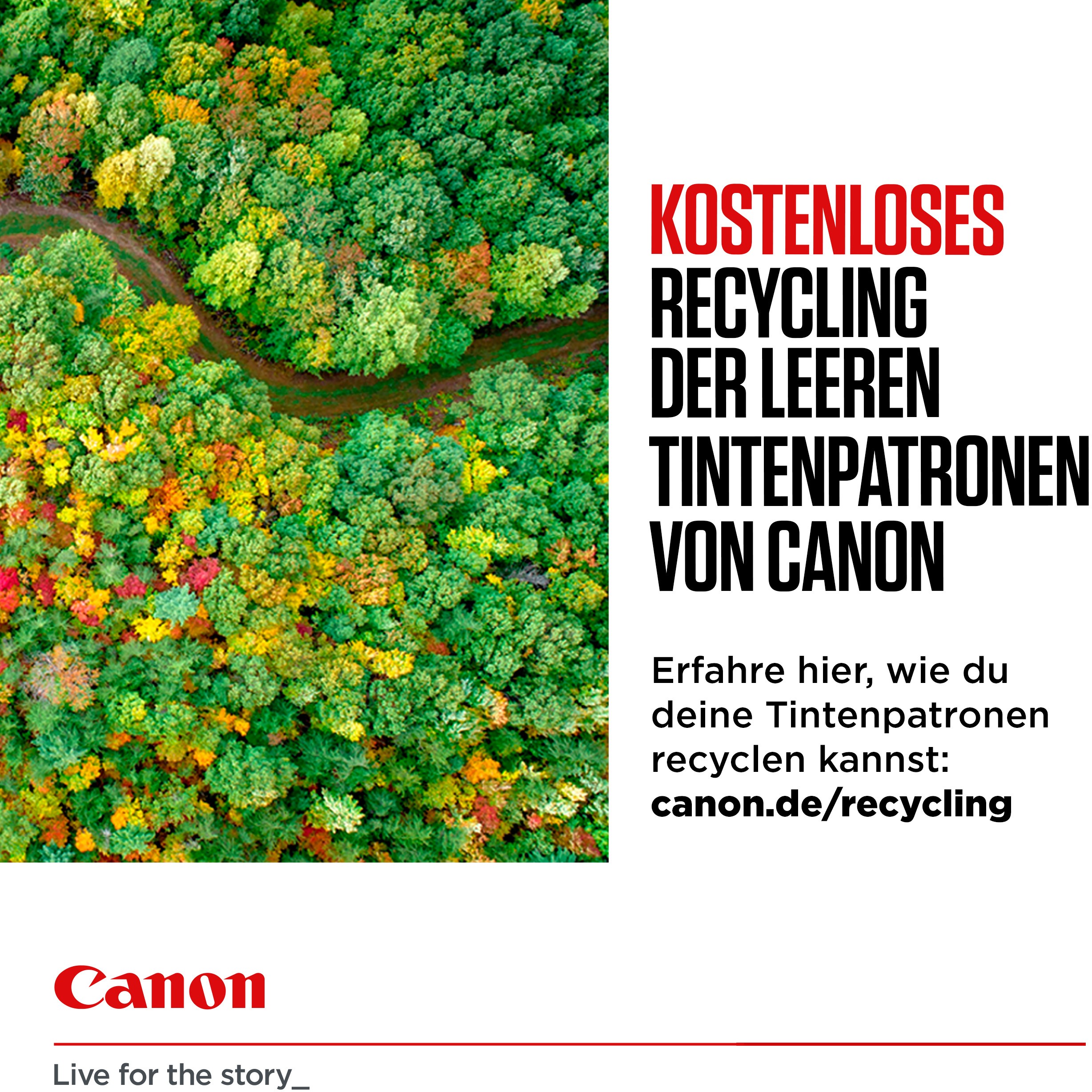 Canon PGI-570PGBK XL Tinte Pigment-Schwarz mit hoher Reichweite