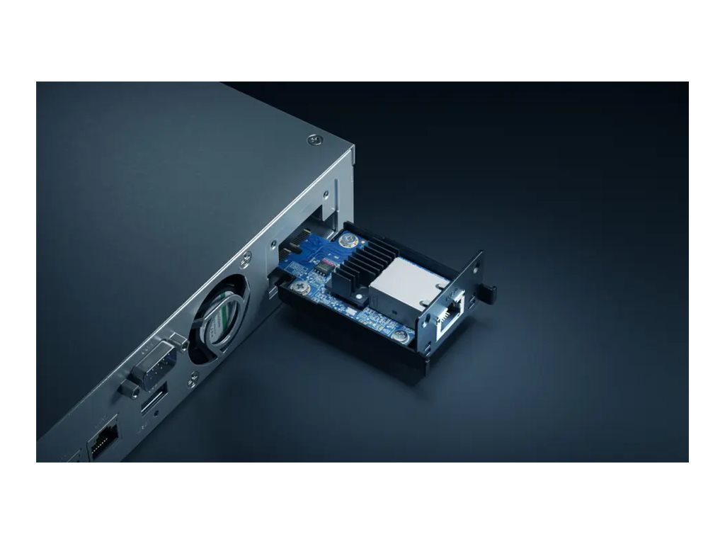 SYNOLOGY E10G22-T1-Mini