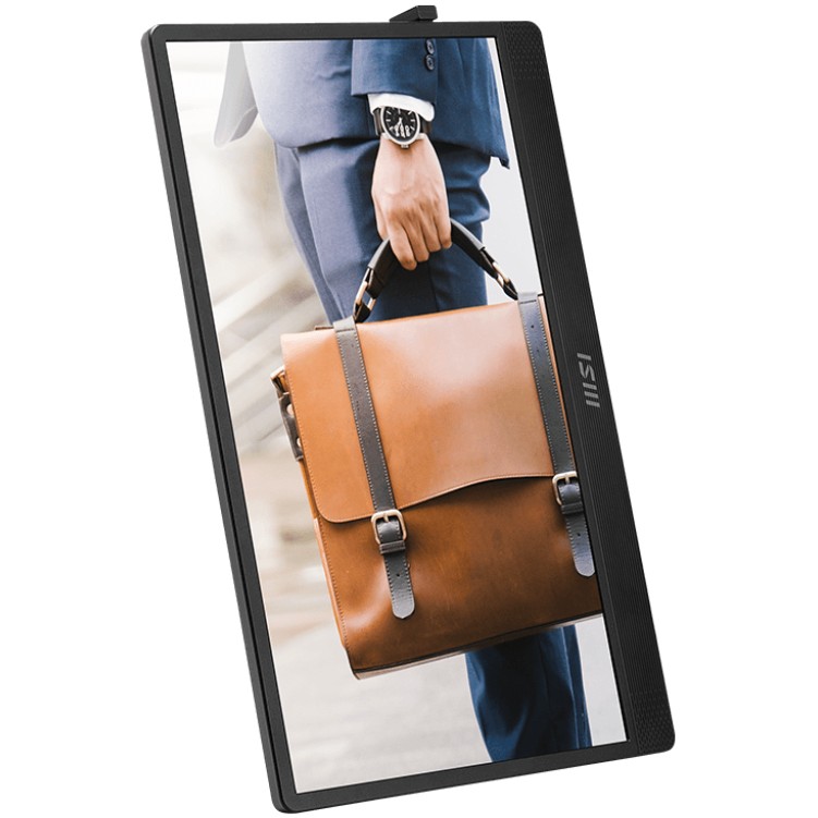 MSI PRO MP161DE E2 computer monitor