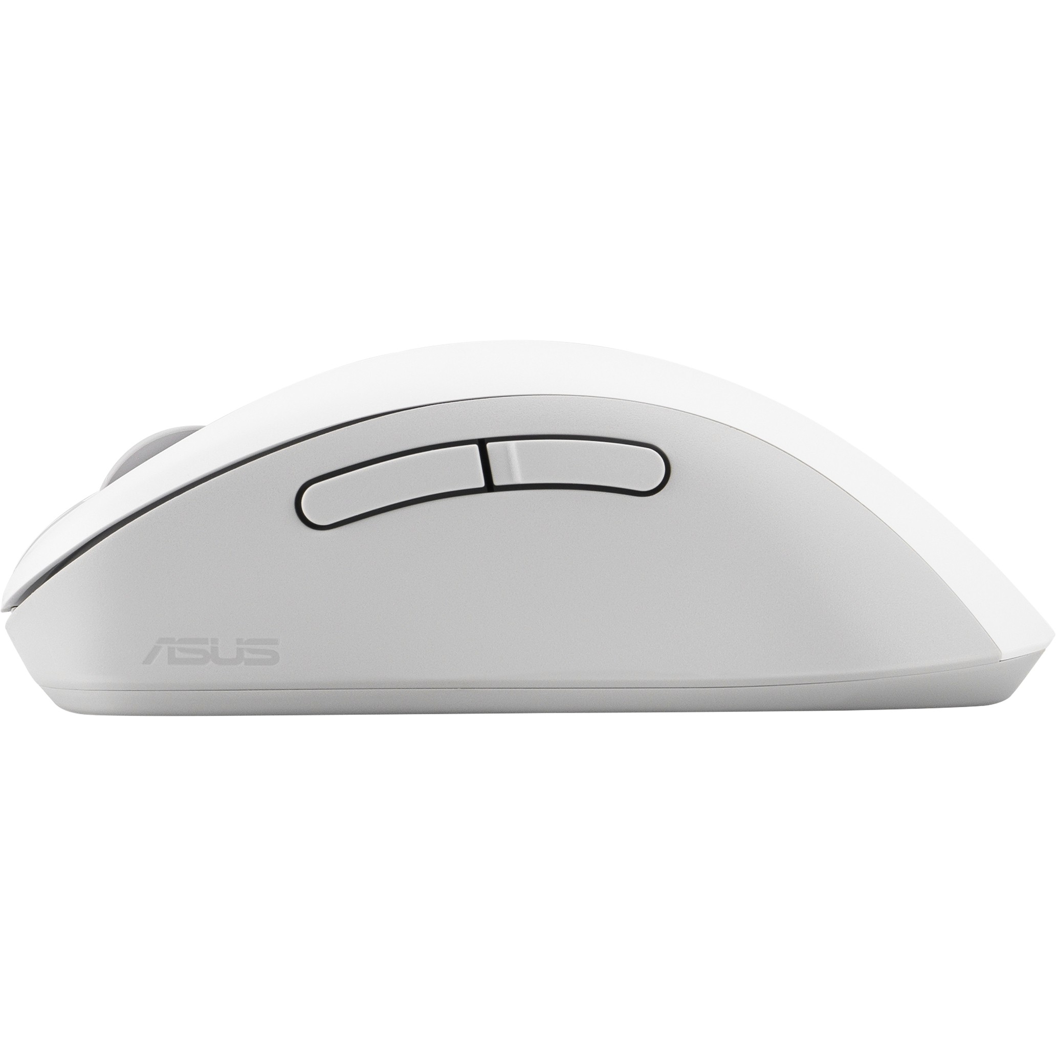 ASUS MD102             Maus wireless 1600dpi weiß