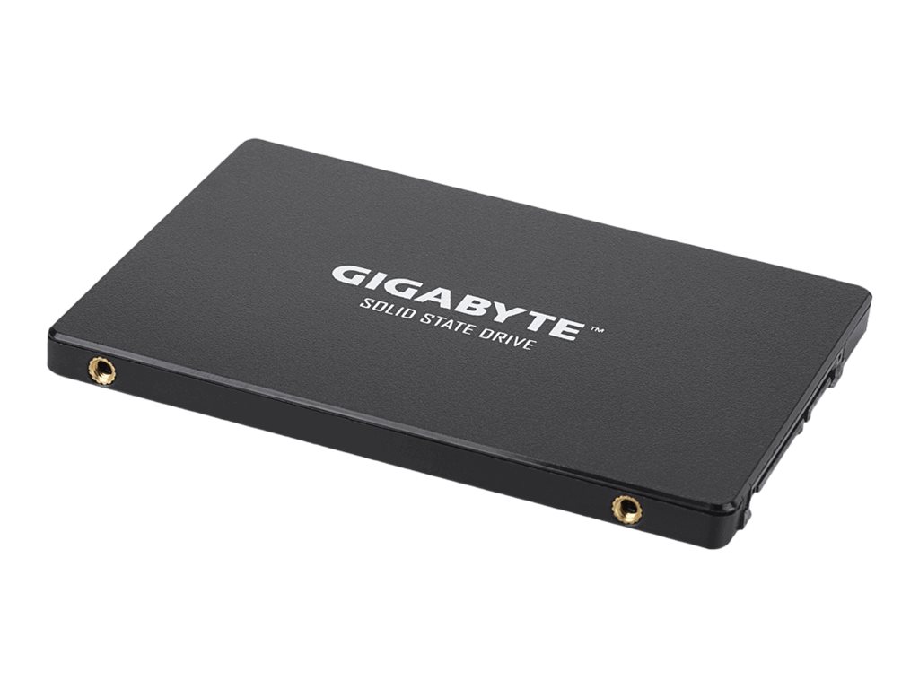 GIGABYTE GP-GSTFS31480GNTD internal solid state drive