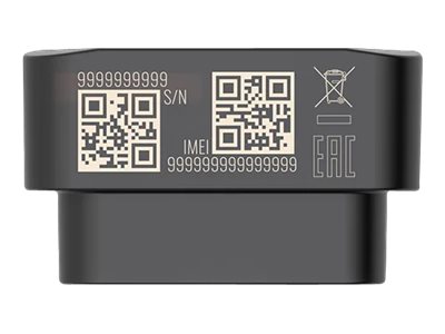 TELTONIKA TELEMATICS FMB020 OBD