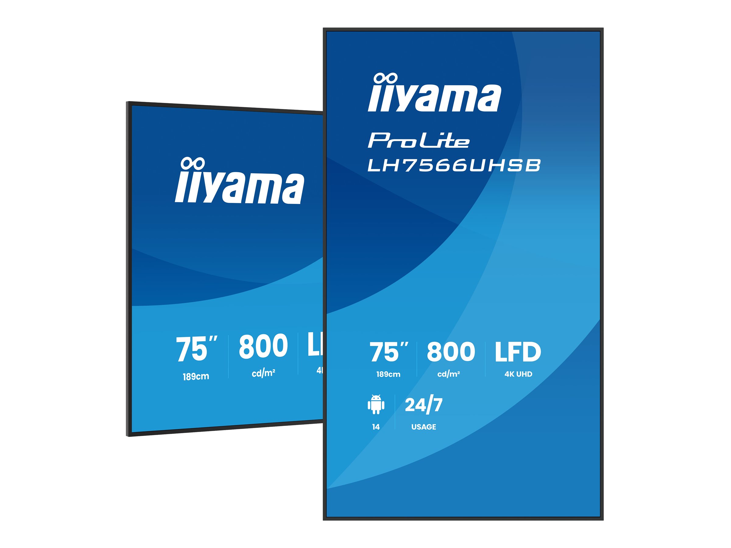 IIYAMA 189.0cm(75