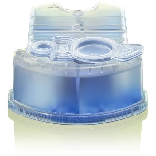 Braun CCR4