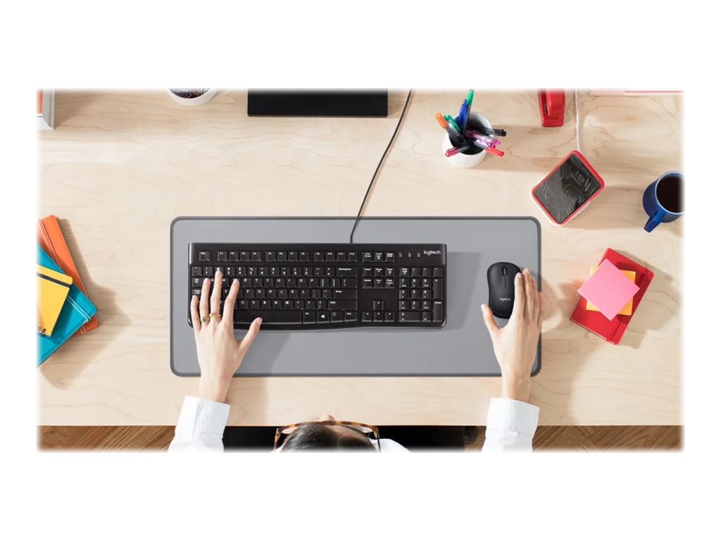 LOGI K120 corded Keyboard HRV-SLV